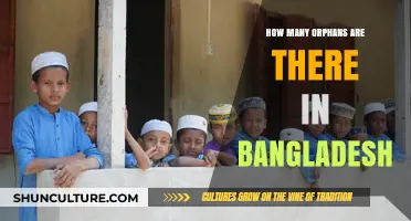Understanding the Orphan Crisis in Bangladesh: Current Statistics and Challenges