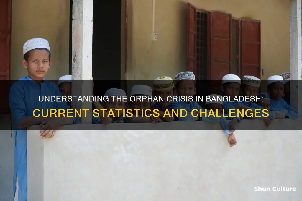 how many orphans are there in bangladesh