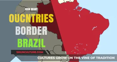 Exploring Brazil's Borders: How Many Countries Share Its Boundaries?