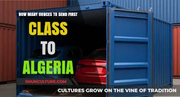 Shipping to Algeria: First-Class Ounces and Postal Guidelines Explained