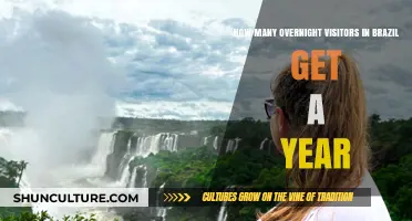 Annual Overnight Visitor Numbers in Brazil: A Comprehensive Overview