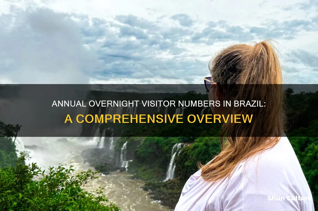 how many overnight visitors in brazil get a year