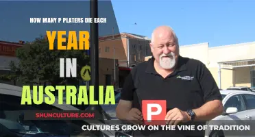 P-Plater Fatalities in Australia: Annual Death Toll Revealed