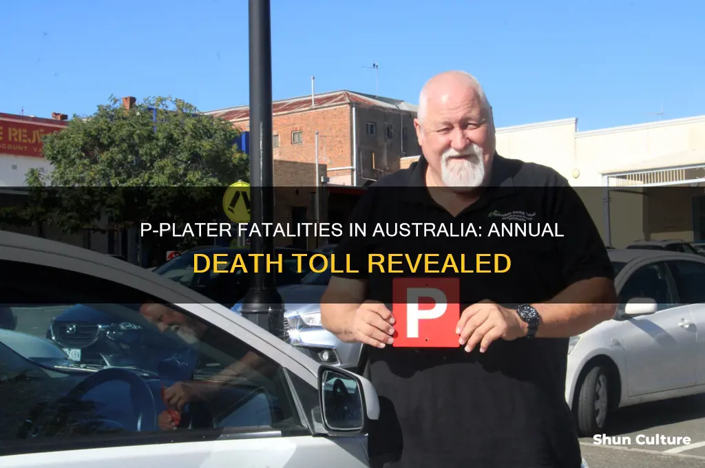 how many p platers die each year in australia