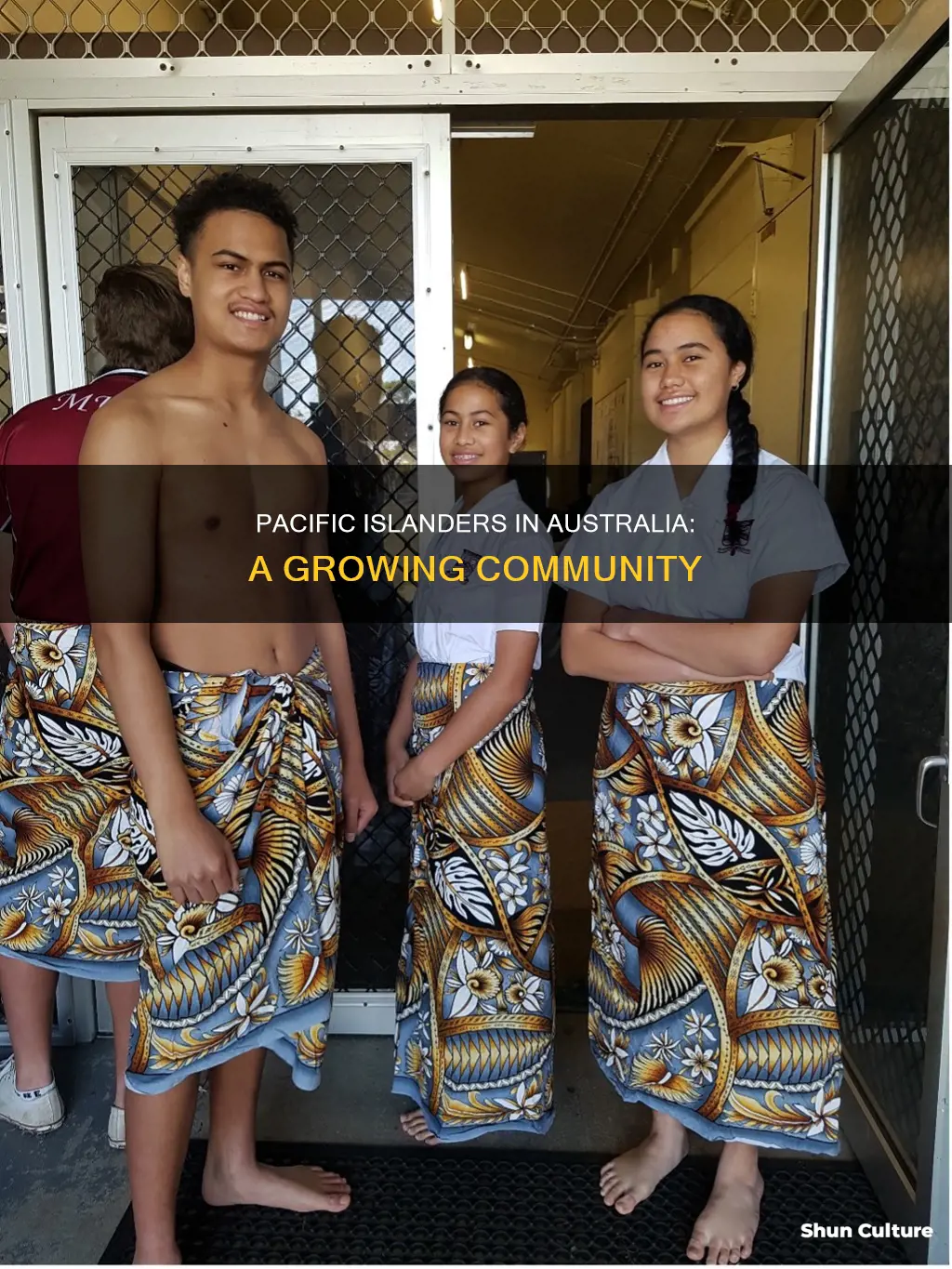 how many pacific islanders in australia