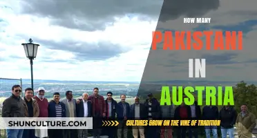 Pakistani Community in Austria: Numbers and Impact