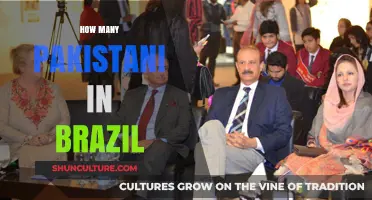 Exploring the Pakistani Community's Presence and Impact in Brazil