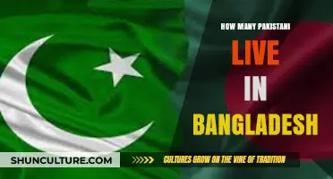 Pakistani Population in Bangladesh: Exploring the Expatriate Community