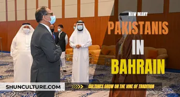 Bahrain's Pakistani Population: Size and Significance