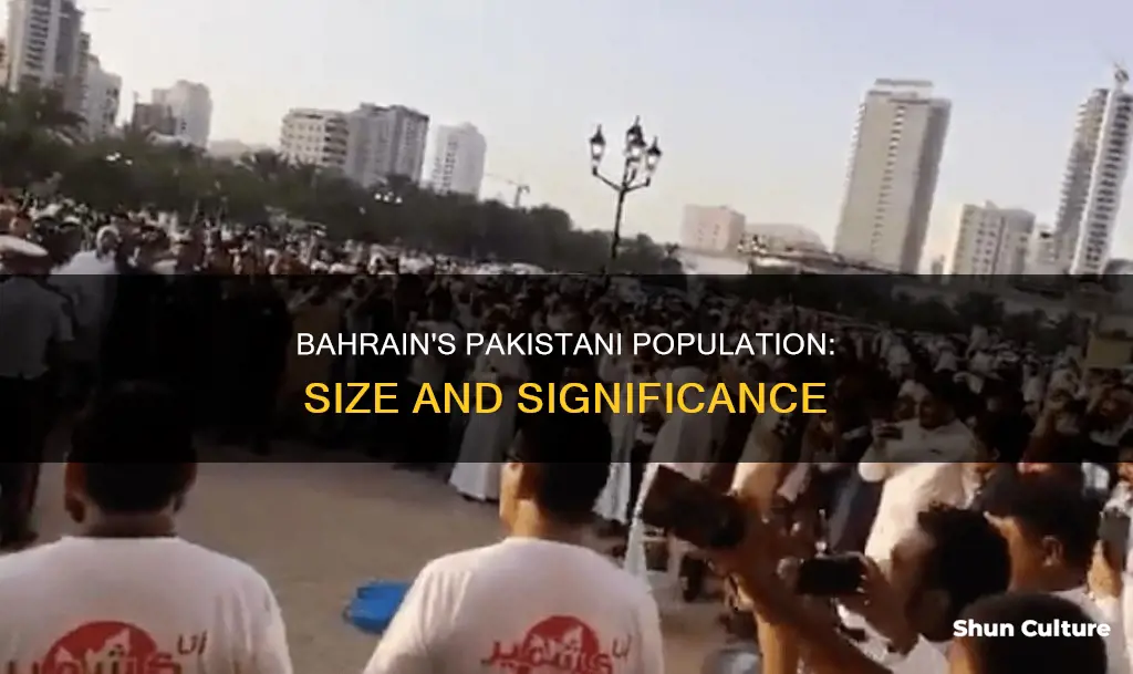 how many pakistanis in bahrain