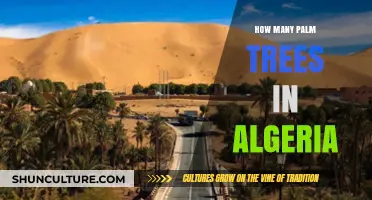 Exploring Algeria's Palm Tree Population: A Comprehensive Count and Analysis