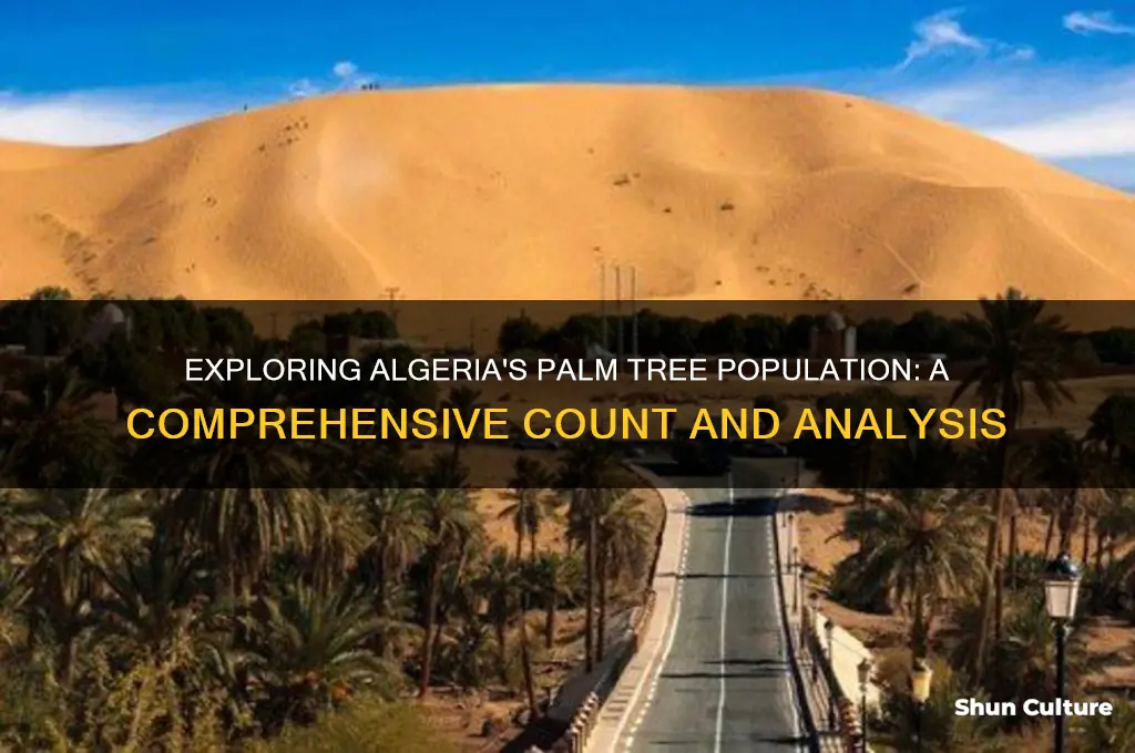 how many palm trees in algeria