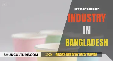 Exploring Bangladesh's Thriving Paper Cup Manufacturing Industry and Growth