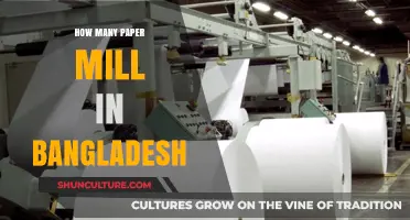Exploring Bangladesh's Paper Mills: A Comprehensive Count and Overview