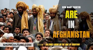 The Pashtun Presence in Afghanistan: Understanding Their Significant Population and Influence