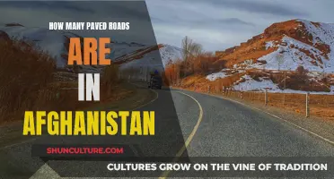 Afghanistan's Paved Road Network: A Crucial Infrastructure Development