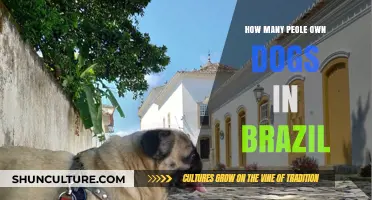 Dog Ownership in Brazil: How Many Brazilians Have Canine Companions?