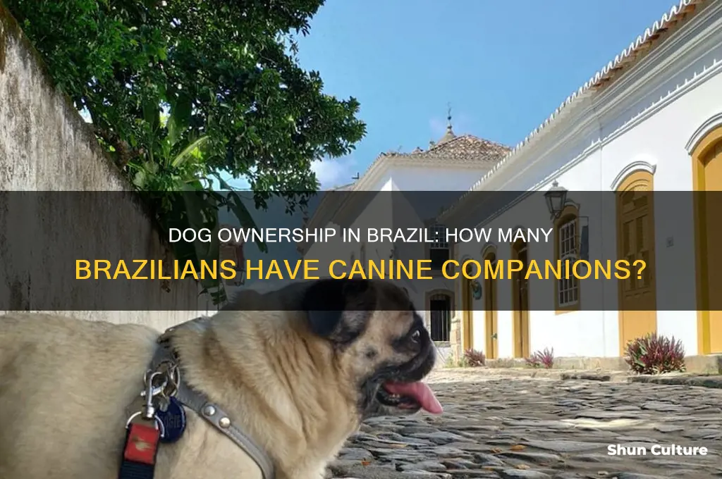 how many peole own dogs in brazil