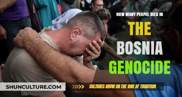 Bosnia Genocide Death Toll: Uncovering the Tragic Human Cost