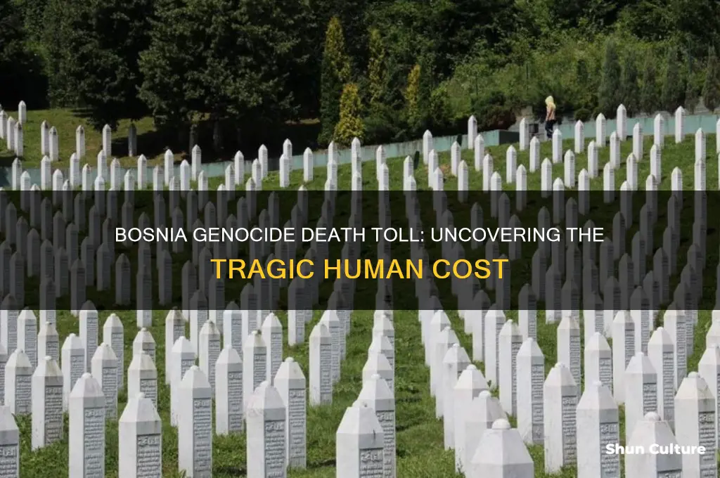 how many peopel died in the bosnia genocide