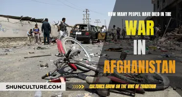 The Human Cost of War: Examining the Fatalities in Afghanistan