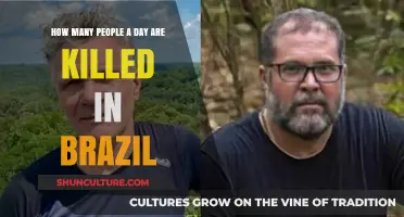 Daily Homicide Rates in Brazil: A Shocking Reality Revealed