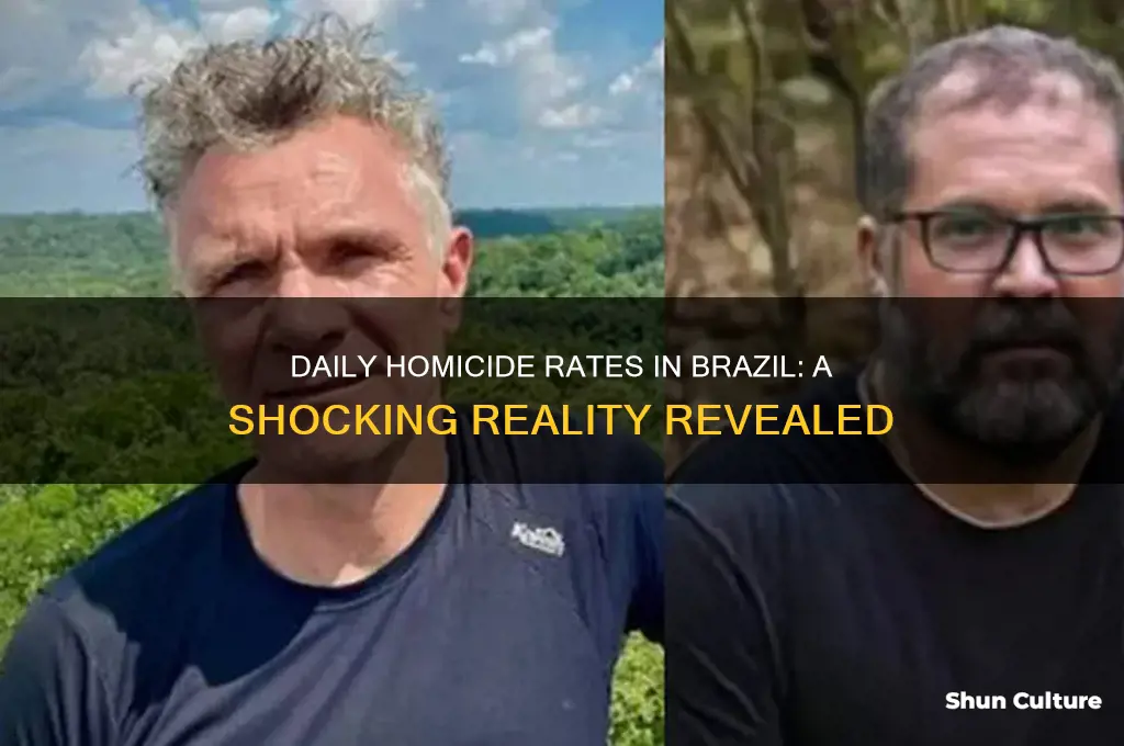 how many people a day are killed in brazil