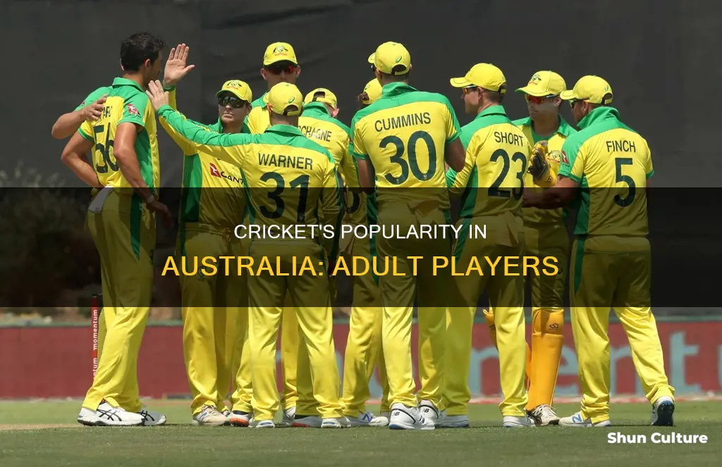 how many people adults play cricket in australia