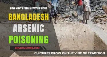 Bangladesh's Arsenic Poisoning Crisis: Impact on Millions of Lives