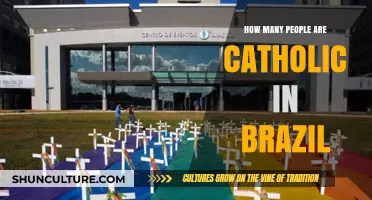 Exploring Brazil's Catholic Population: A Comprehensive Demographic Overview