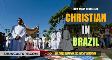 Exploring Brazil's Christian Population: A Comprehensive Demographic Overview
