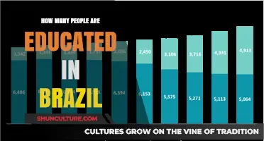 Brazil's Education System: How Many People Are Educated?