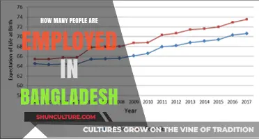 Employment in Bangladesh: Understanding the Workforce and Job Market