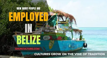 Belize's Employment Numbers: A Snapshot