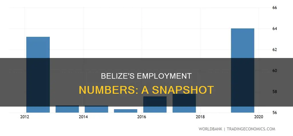 how many people are employed in belize