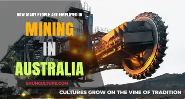 Mining Employment in Australia: Current Numbers and Insights
