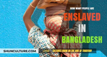 Unveiling Bangladesh's Hidden Chains: The Scope of Modern Slavery