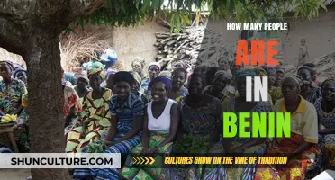 Exploring Benin: A Glimpse into the Country's Population