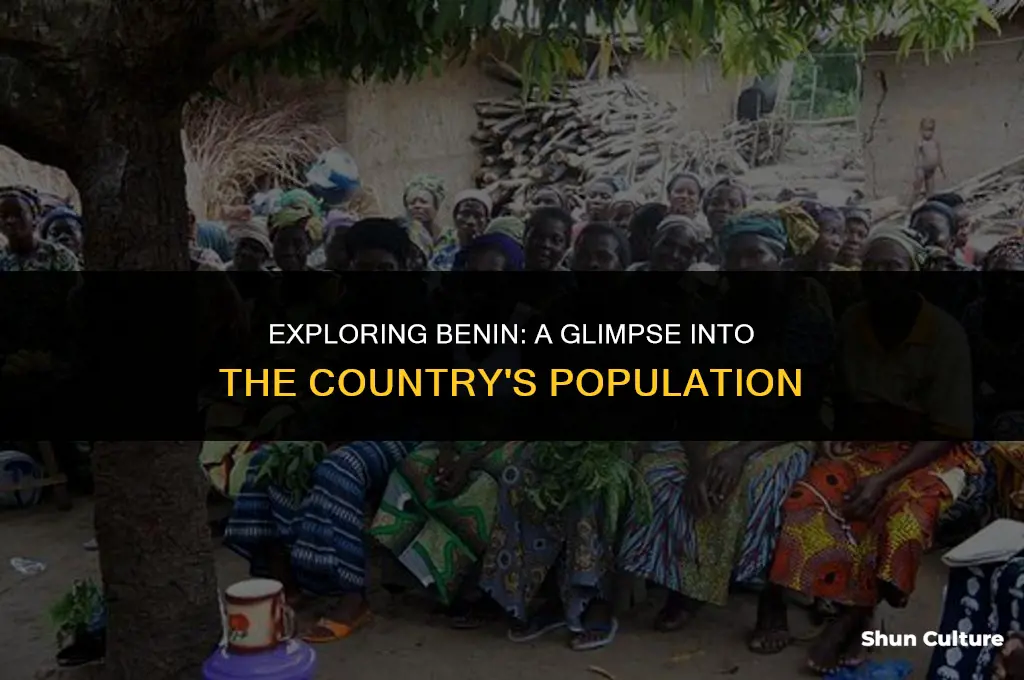 how many people are in benin