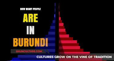 Exploring Burundi's Population: A Demographic Overview
