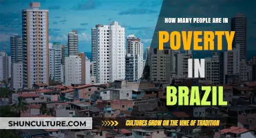 Understanding Brazil's Poverty Crisis: Current Statistics and Realities