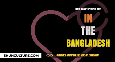 Bangladesh Population Insights: Understanding the Country's Current Demographics