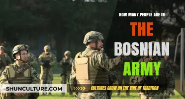 Bosnian Army Strength: Current Personnel Numbers and Structure Explained
