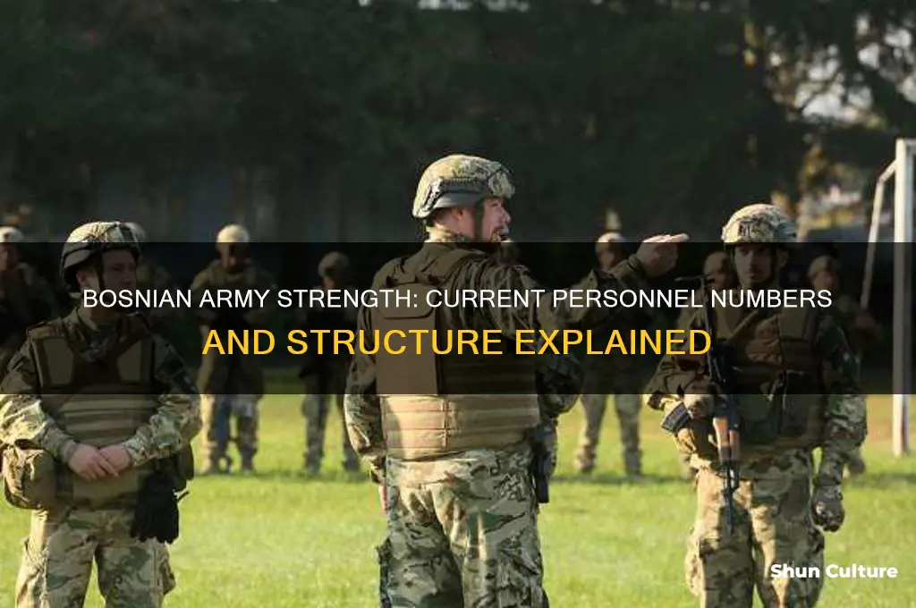 how many people are in the bosnian army