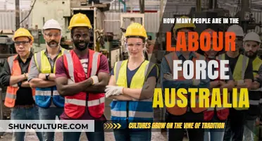 Labour Force Participation in Australia: Who's Working?