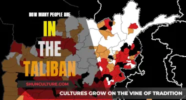 The Ever-Changing Numbers of the Taliban Ranks