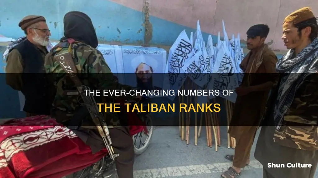 how many people are in the taliban