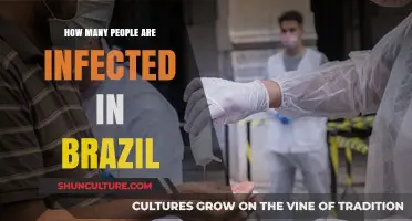Brazil's COVID-19 Crisis: Tracking the Rising Infection Rates