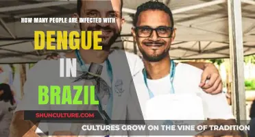 Dengue Outbreak in Brazil: Current Infection Rates and Trends