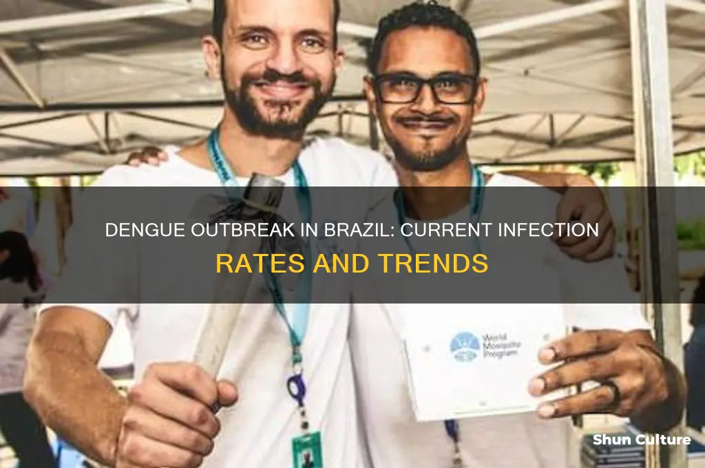 how many people are infected with dengue in brazil